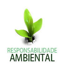 Responsabilidade Ambiental com a Disk Entulho 2 Irmãos